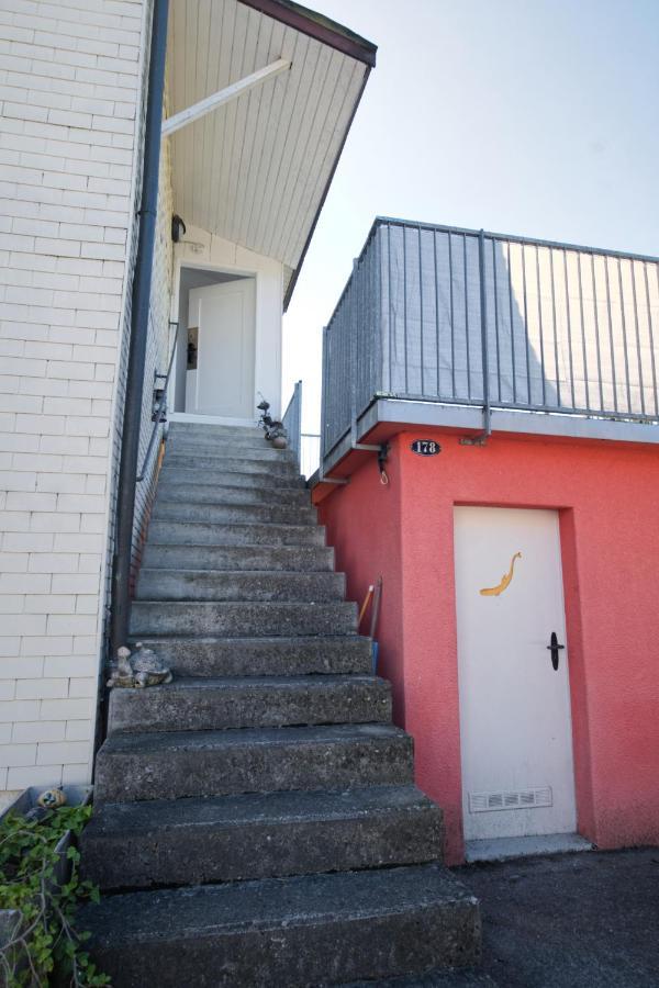 Lake Getaway Apartment With Private Entrance, Right On The Lake Constance Cycle Path, Barbecue Area, Free Wifi, Netflix And Free Bikes Salmsach Exterior photo
